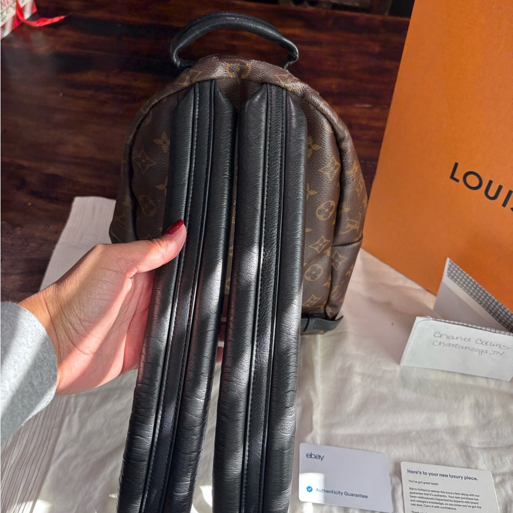 Louis Vuitton Palms Spring Mini Pm - image 2